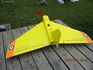 IMG_4537
