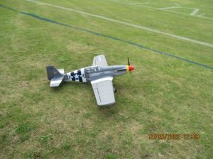 IMG_5571 - Copy
