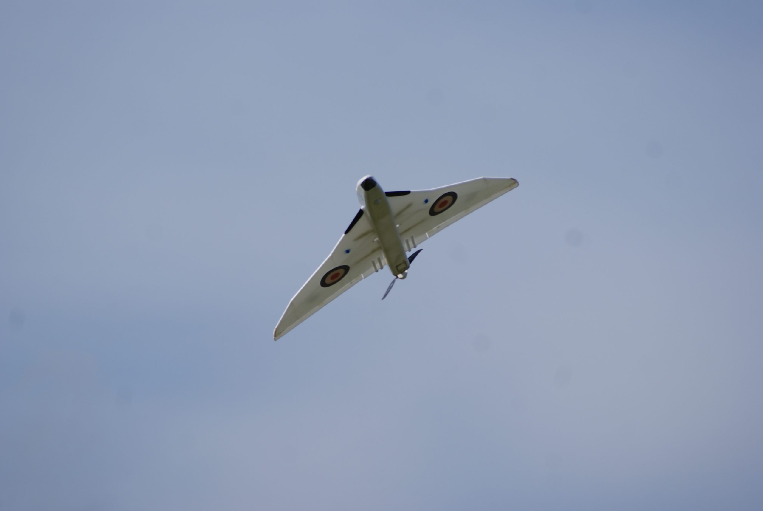 SONY DSC